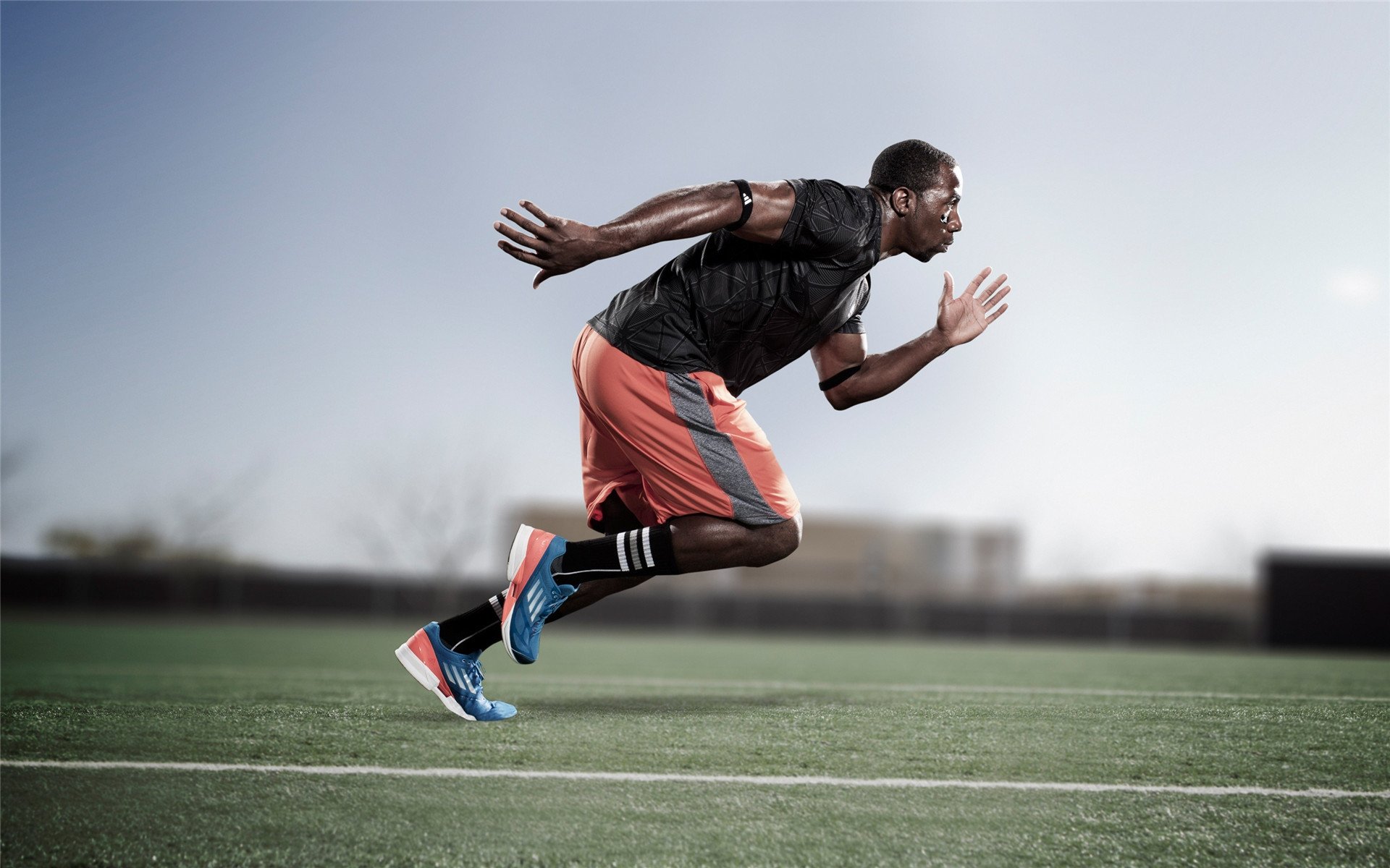 中国篮球联赛观众行为特征分析及精准营销策略研究，篮球比赛观众的表现